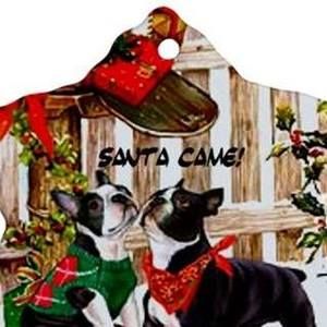 Meet your Posher, Janis